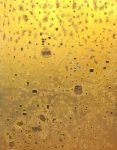 Eduardo Terranova, Gold Painting 18